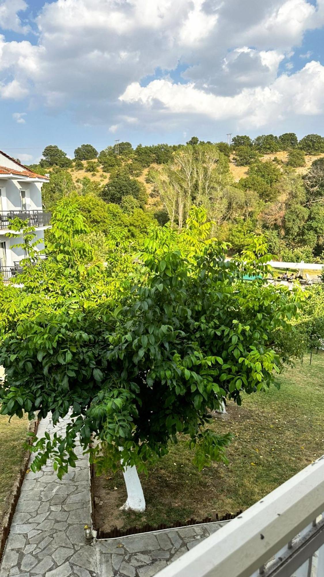 Tselikas Hotel كوزاني الغرفة الصورة